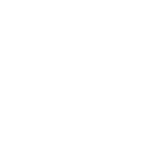 Instagram icons White